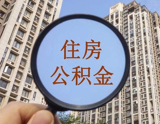 临邑退休后查不到公积金明细了吗（退休后公积金查询不到原因）